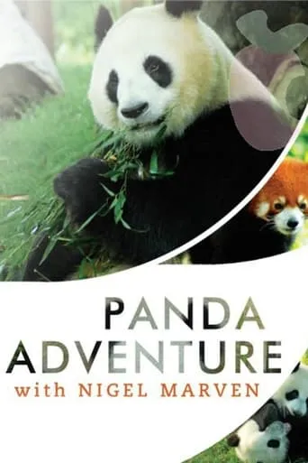 Panda Adventure with Nigel Marven TV series poster - Rated 5/10