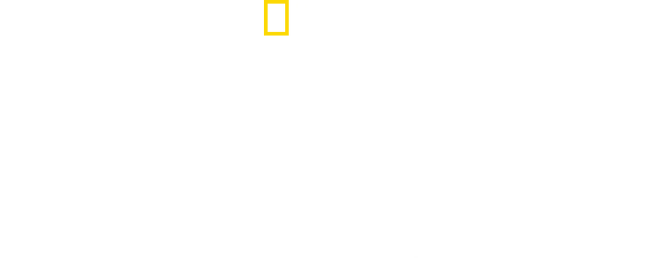 Danger Decoded