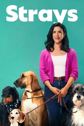 Strays TV series poster - Rated 6.5/10