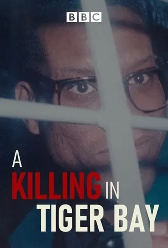 A Killing in Tiger Bay TV series poster - Rated 7.5/10