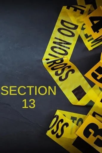 Section 13 TV series poster - Rated 9/10