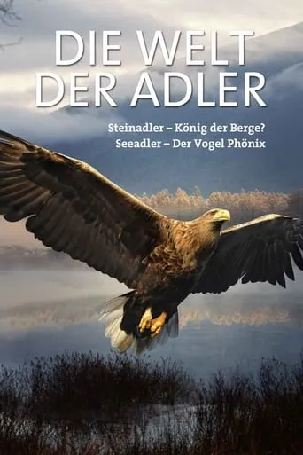 DIE WELT DER ADLER TV series poster - Rated 7/10