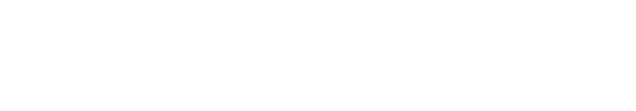 The Patient