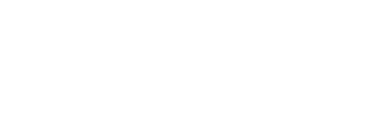 The Outlaws
