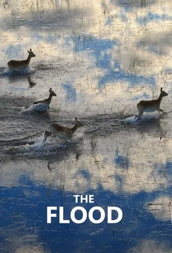 The Flood TV series poster - Rated 8.5/10