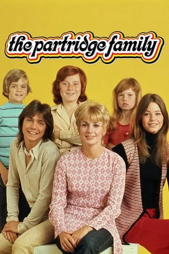 The Partridge Family TV series poster - Rated 6.707/10