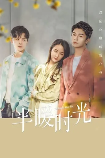 The Memory About You TV series poster - Rated 6/10