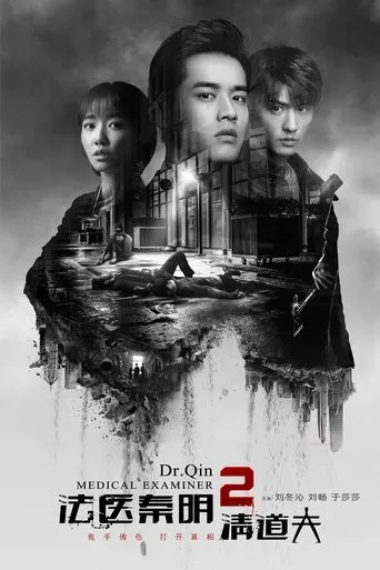 Medical Examiner Dr. Qin: Scavenger TV series poster - Rated 10/10
