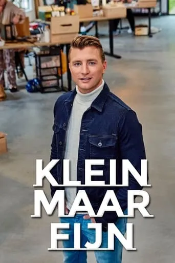 Klein maar fijn TV series poster - Rated 7/10