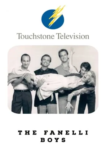 The Fanelli Boys TV series poster - Rated 6/10