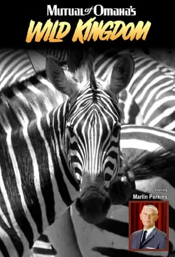Mutual of Omaha's Wild Kingdom TV series poster - Rated 9/10