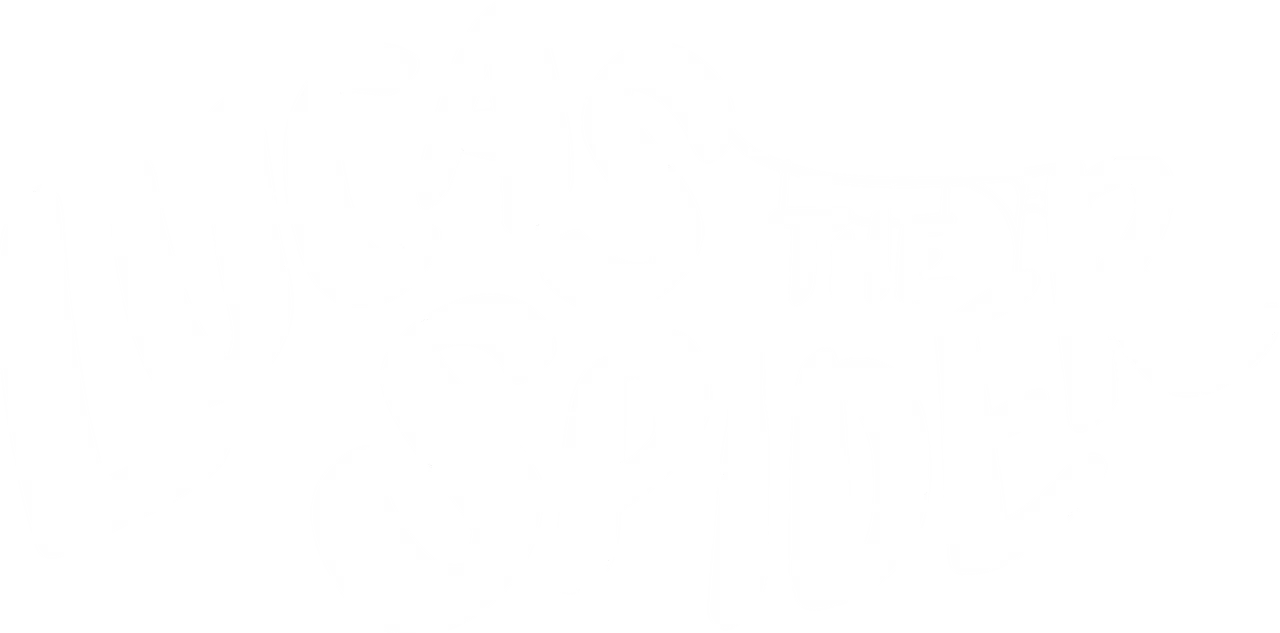 Lucas the Spider