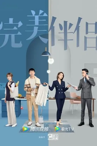 完美伴侣 TV series poster - Rated 5/10