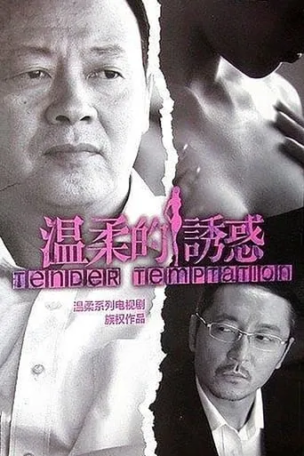 Tender Temptation TV series poster - Rated 10/10