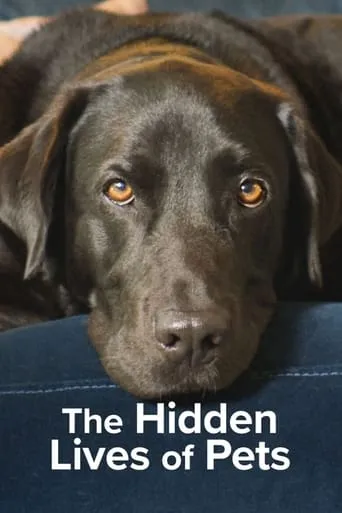 The Secret Life of Our Pets TV series poster - Rated 7.6/10