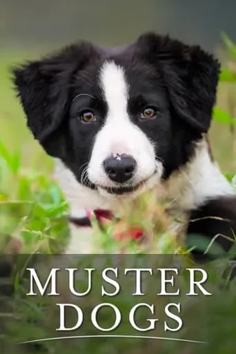Muster Dogs TV series poster - Rated 6/10