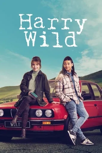 Harry Wild TV series poster - Rated 6.6/10