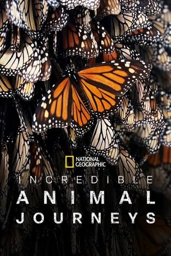 Incredible Animal Journeys TV series poster - Rated 9/10