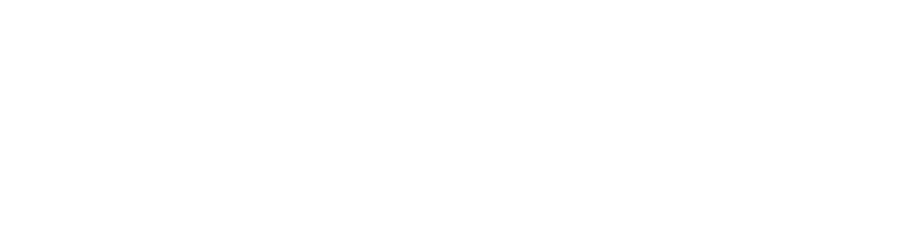 Secrets of the Elephants