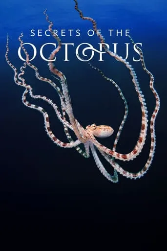 Secrets of the Octopus TV series poster - Rated 8.4/10