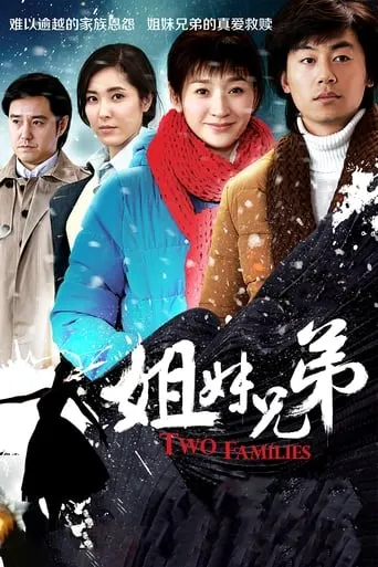 Two Families TV series poster - Rated 6/10
