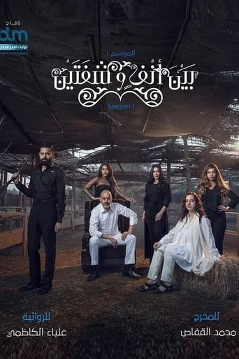 بين أنف وشفتين TV series poster - Rated 5/10