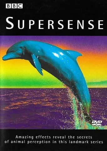 Supersense TV series poster - Entertainment content