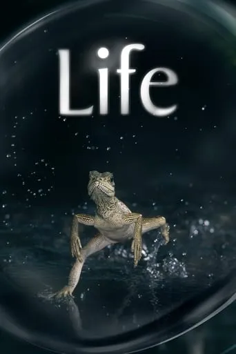 Life TV series poster - Rated 8.3/10
