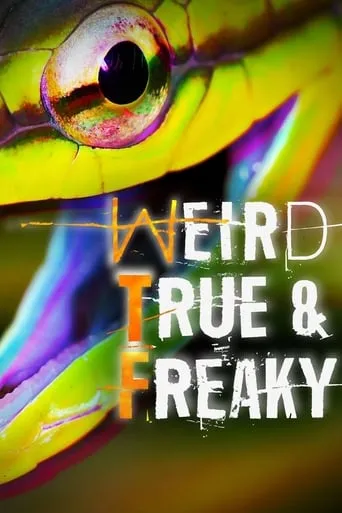 Weird, True & Freaky TV series poster - Rated 8/10