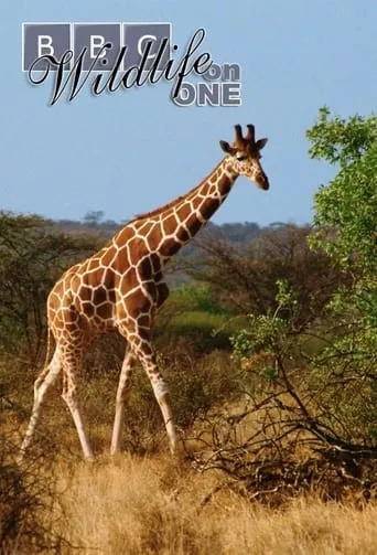 Wildlife on One TV series poster - Rated 8.5/10