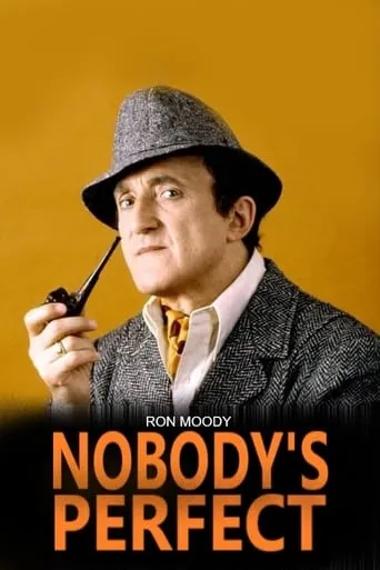 Nobody's Perfect TV series poster - Rated 6.5/10