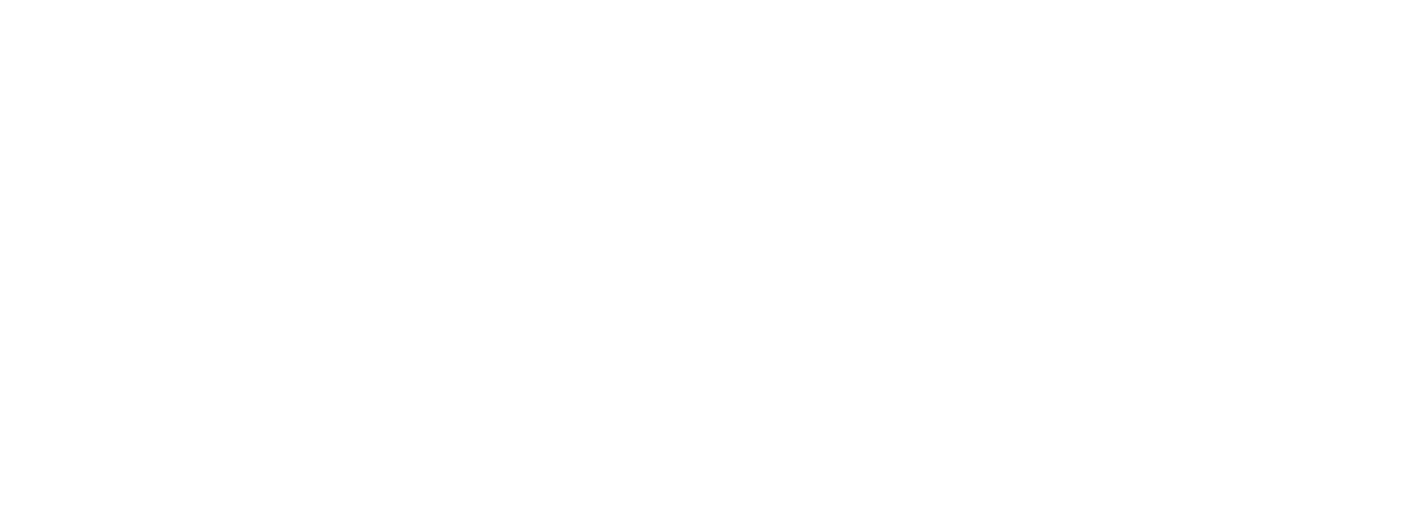 The Captain