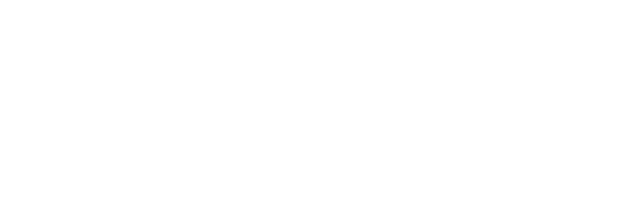 Bad Sisters
