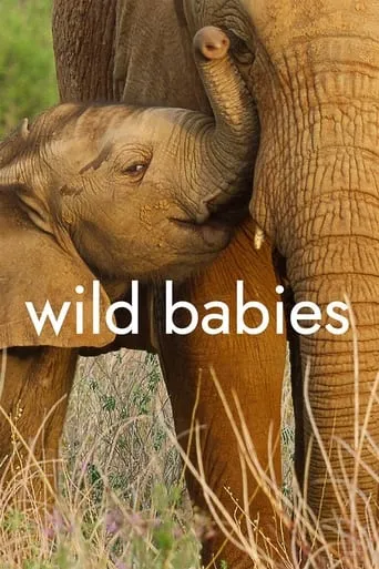 Wild Babies TV series poster - Rated 7.585/10