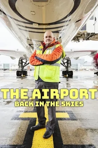The Airport: Back in the Skies TV series poster - Rated 7/10