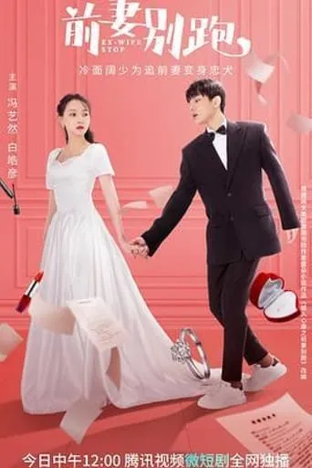 Ex-Wife Stop TV series poster - Rated 8/10