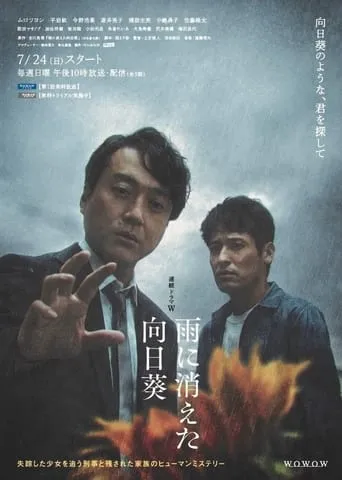 The Sunflower Disappeared in the Rain TV series poster - Rated 8.75/10