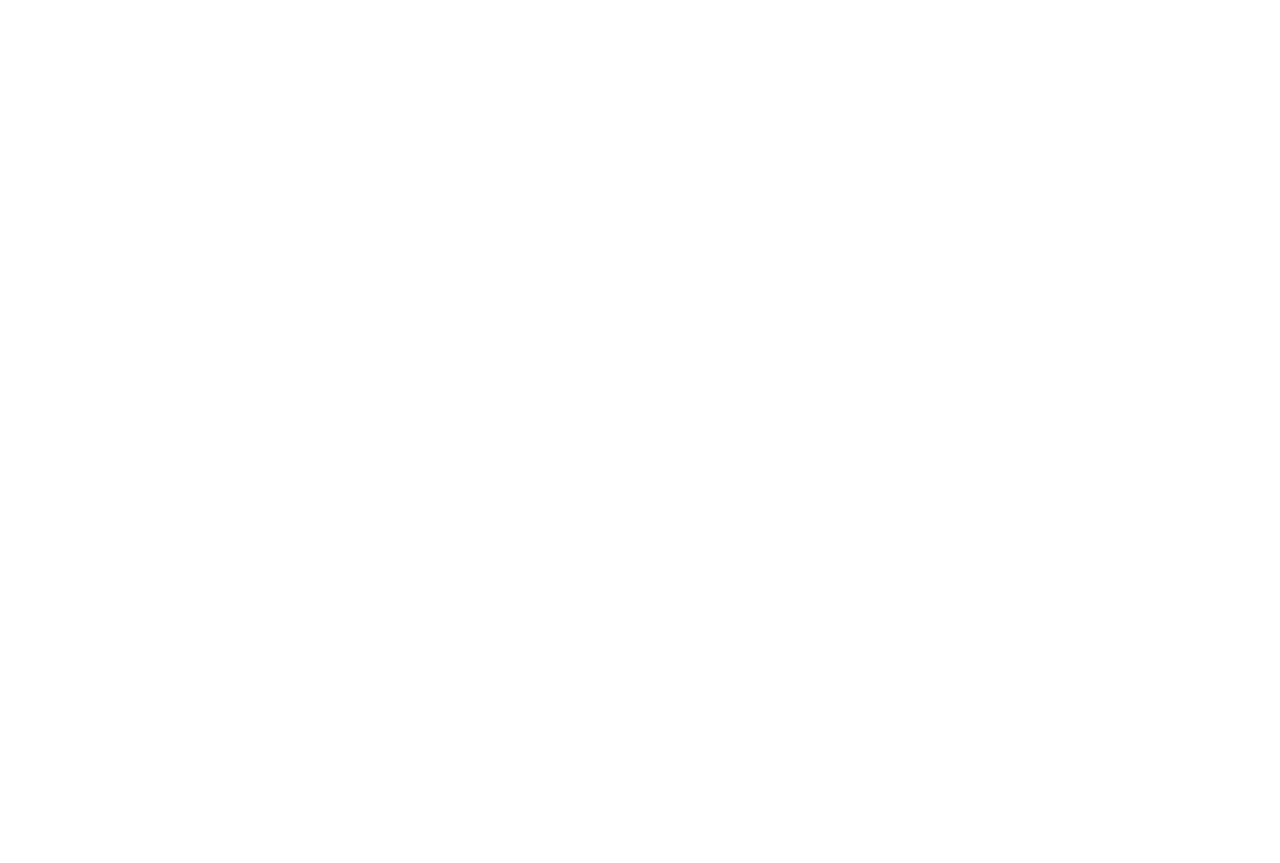 The Artful Dodger