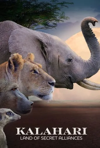Kalahari: Land of Secret Alliances TV series poster - Rated 8.5/10
