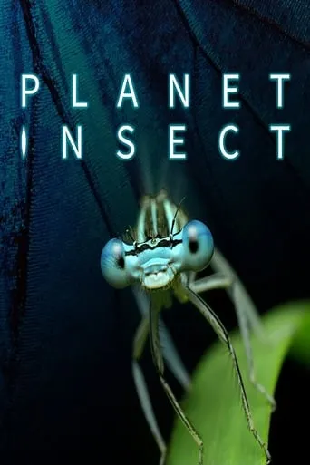 Planet Insect TV series poster - Rated 6/10