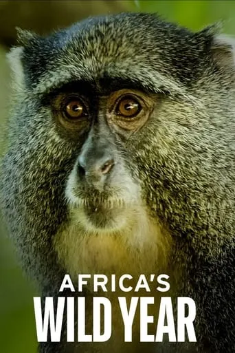 Africa's Wild Year TV series poster - Rated 8/10