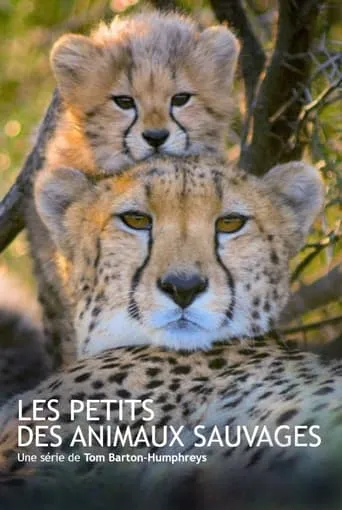 Les animaux sauvages et leurs petits TV series poster - Rated 6/10
