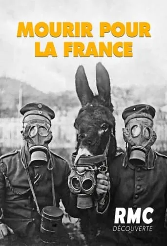 Mourir pour la France TV series poster - Rated 9/10