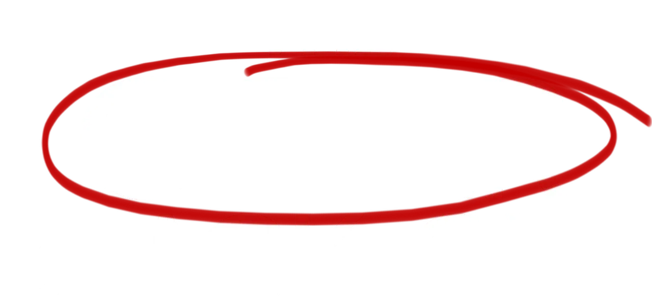 The Other Black Girl