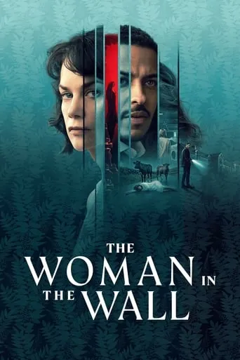 The Woman in the Wall TV series poster - Rated 6.6/10