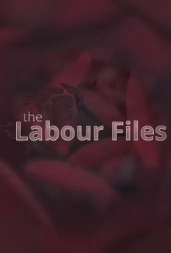 The Labour Files TV series poster - Rated 8/10