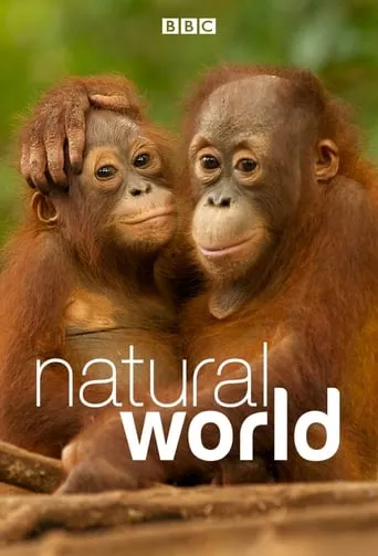 Natural World TV series poster - Rated 7.06/10