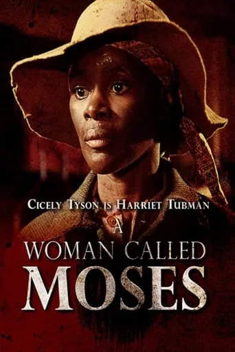 A Woman Called Moses TV series poster - Rated 6.9/10