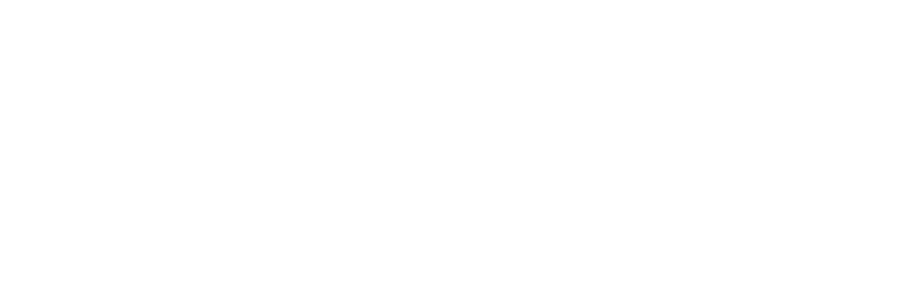 Roadworthy Rescues