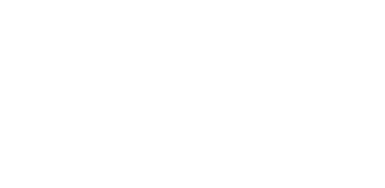 New Life Begins